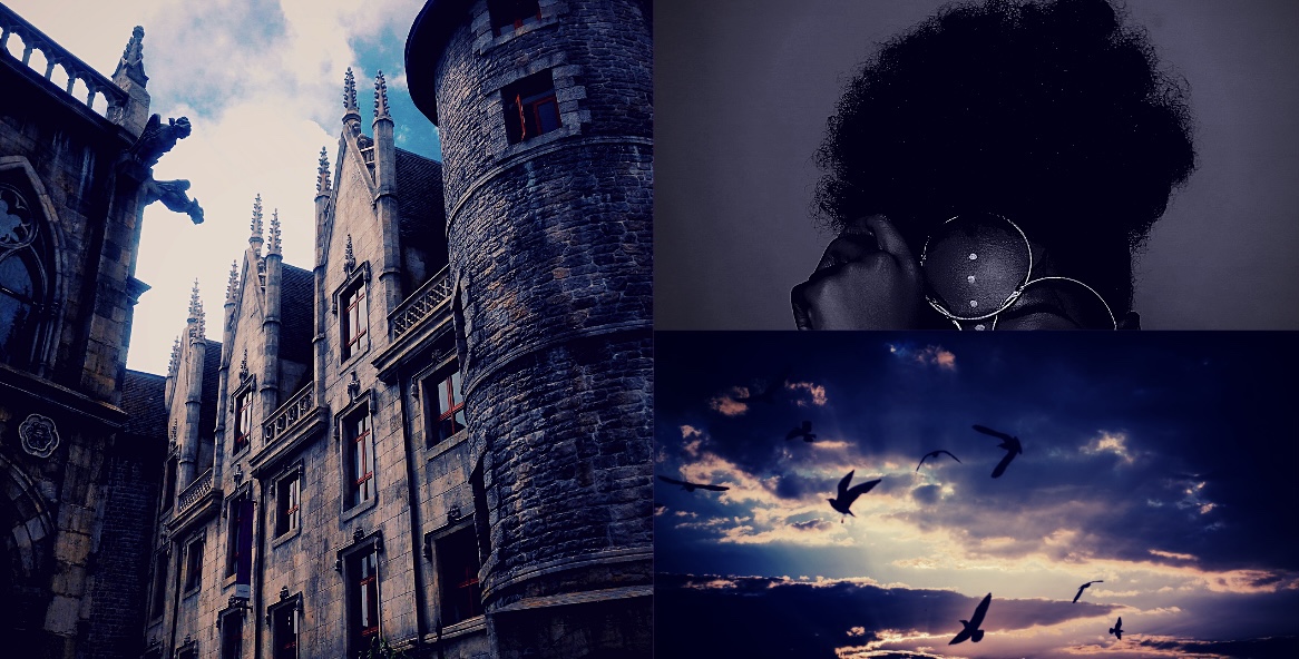 Arcelia mood board pt 3 Win's Books