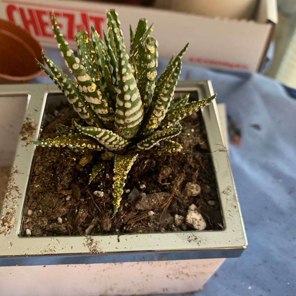 planting plants