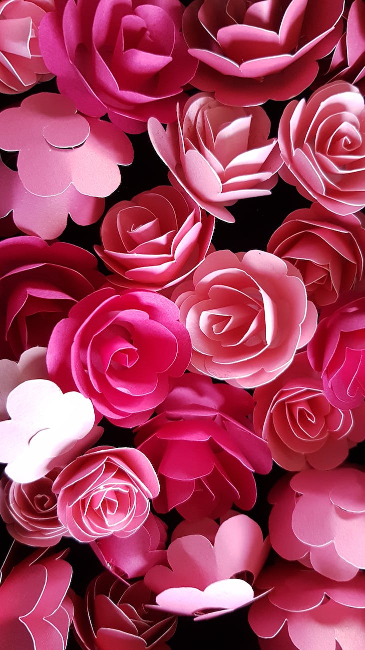 paper roses
