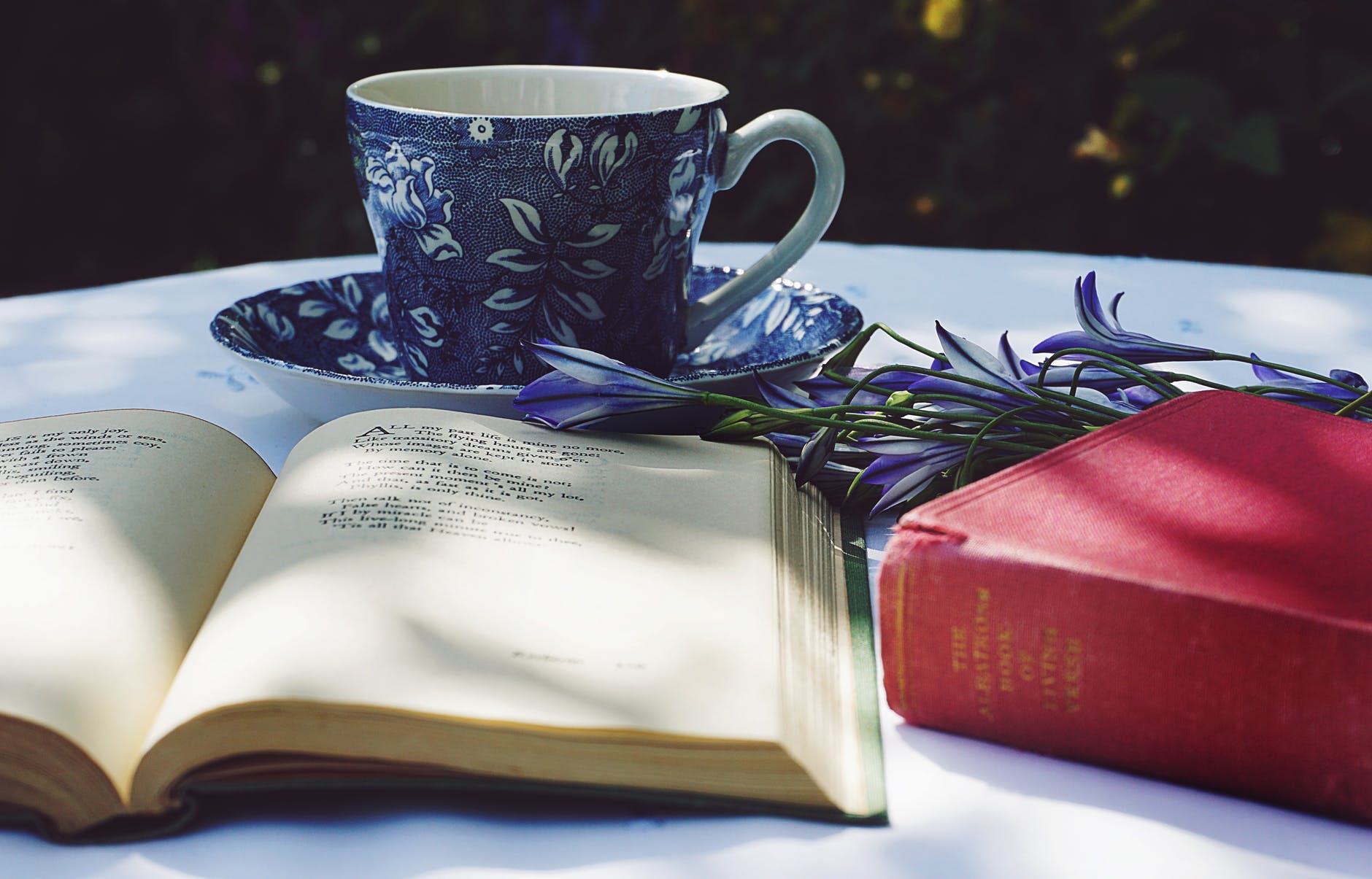 book opened on top of white table beside closed red book and round blue foliage ceramic cup on top of saucer; author spotlight