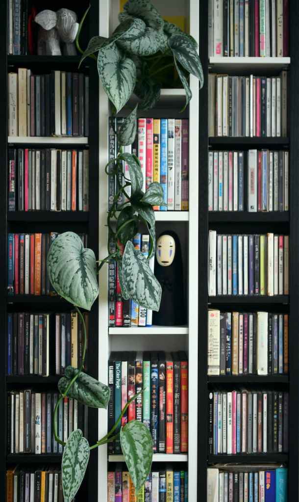 a bookshelf with a hanging plant; digital library is open at Win's Books