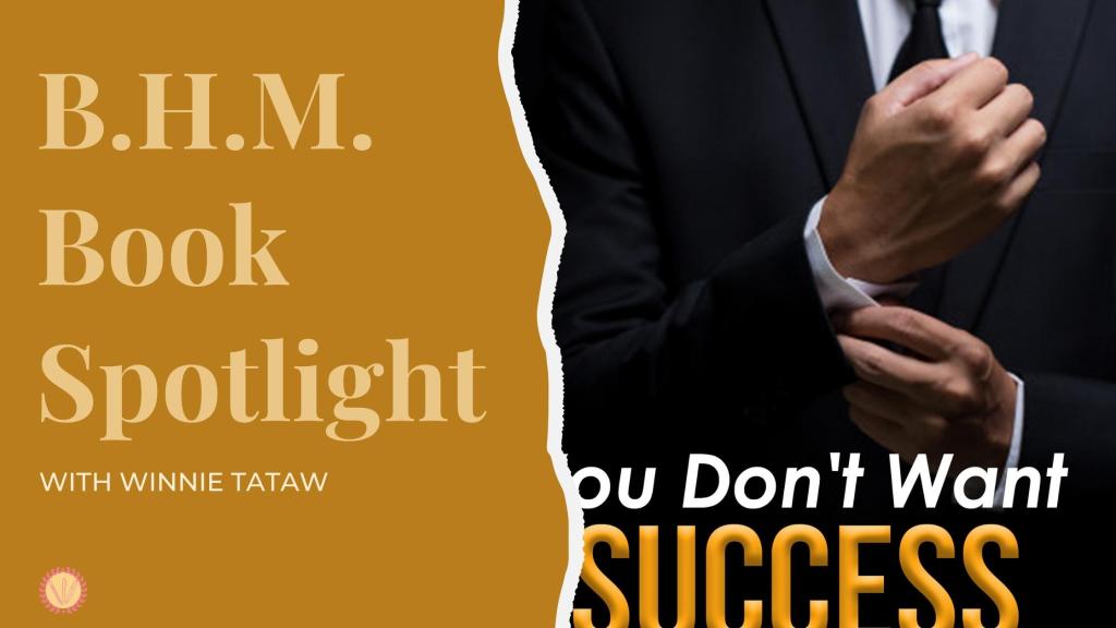 book spotlight Blog Post Banner; You don't wnat success