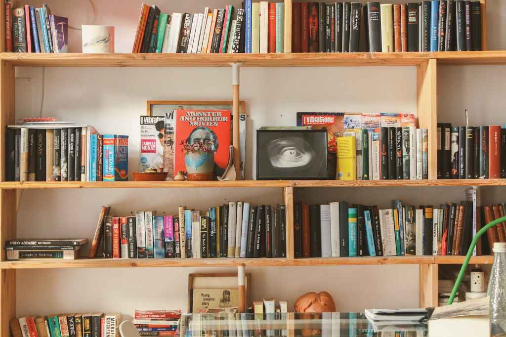 books in shelf inside room Photo by Tiana on Pexels.com