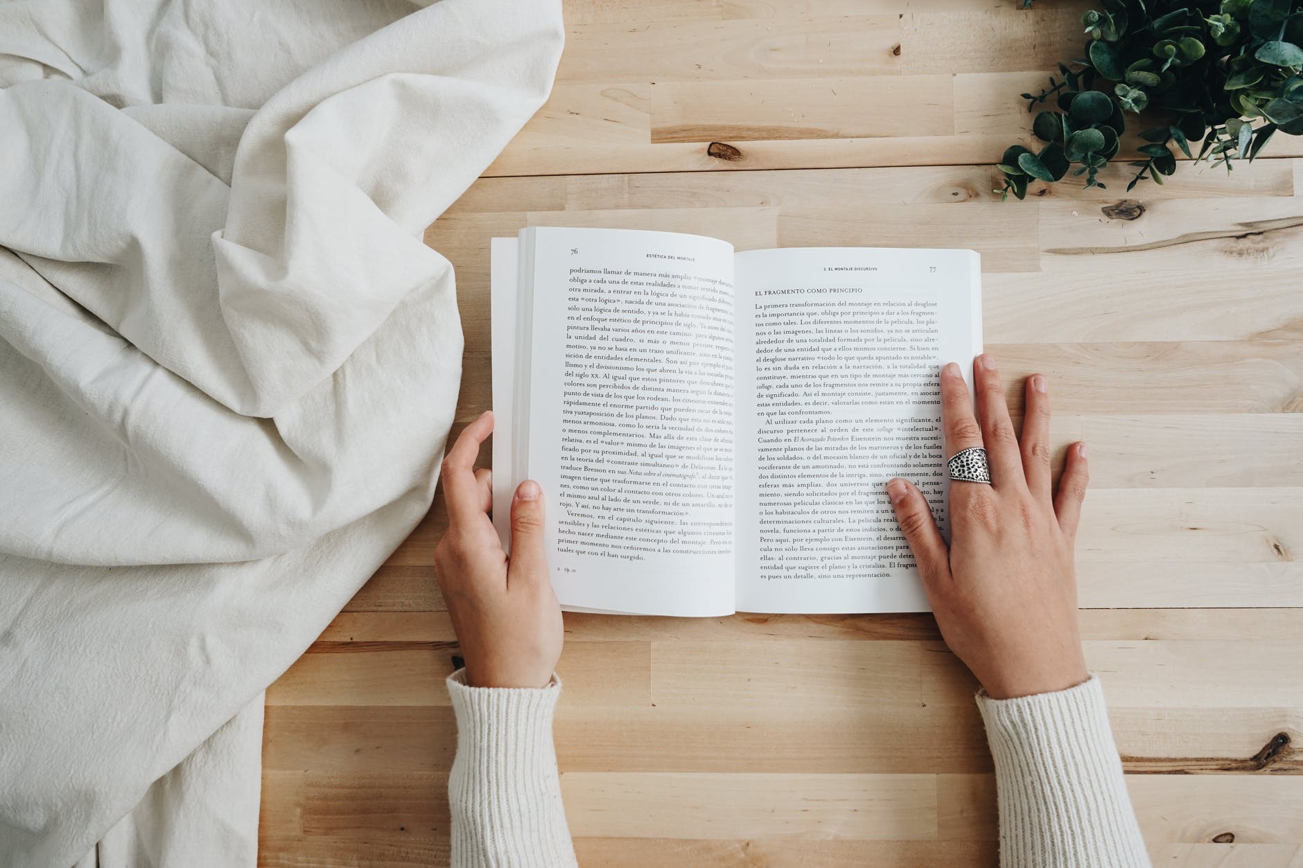 photo of person holding a book; beta reader, what is a beta reader