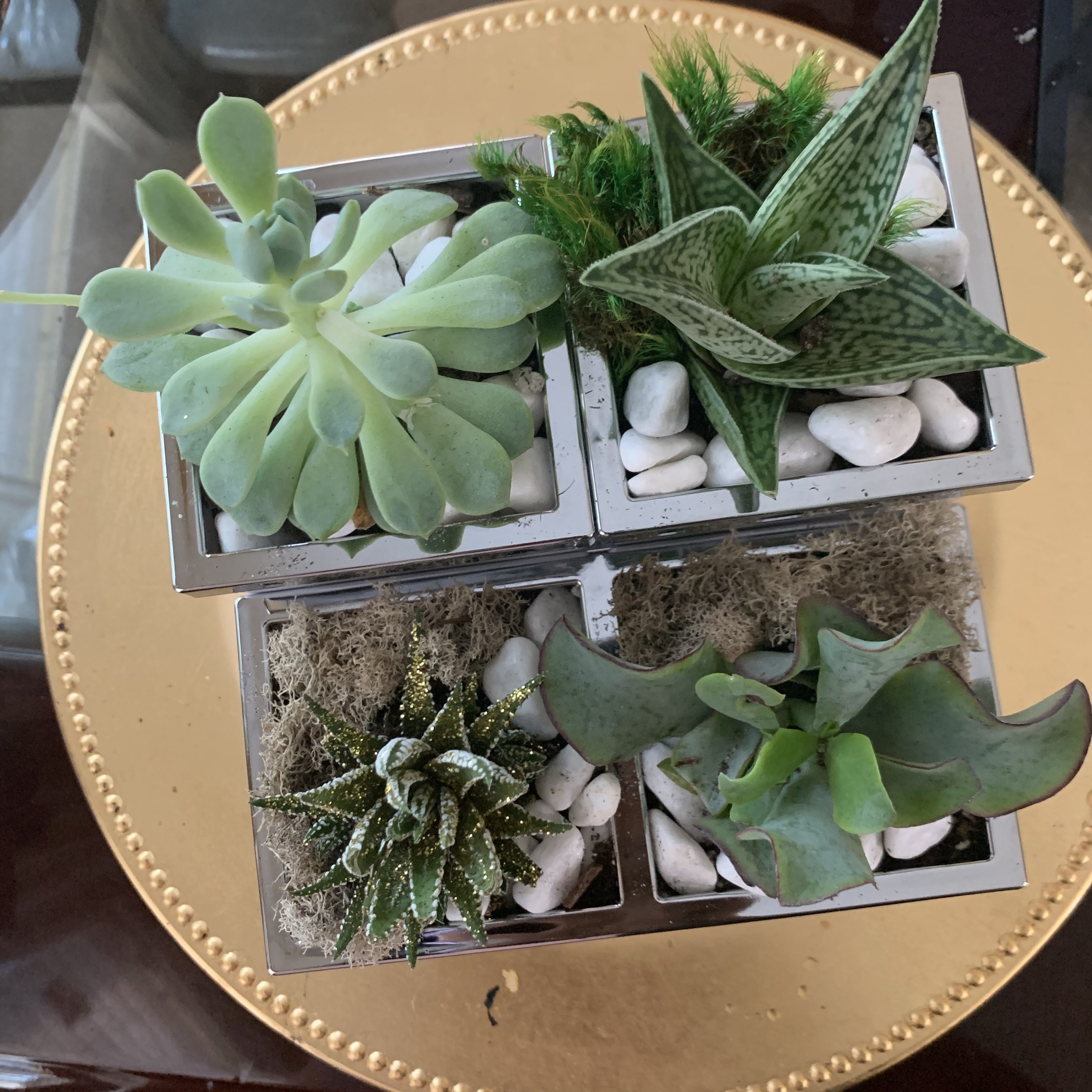 diy potted plants