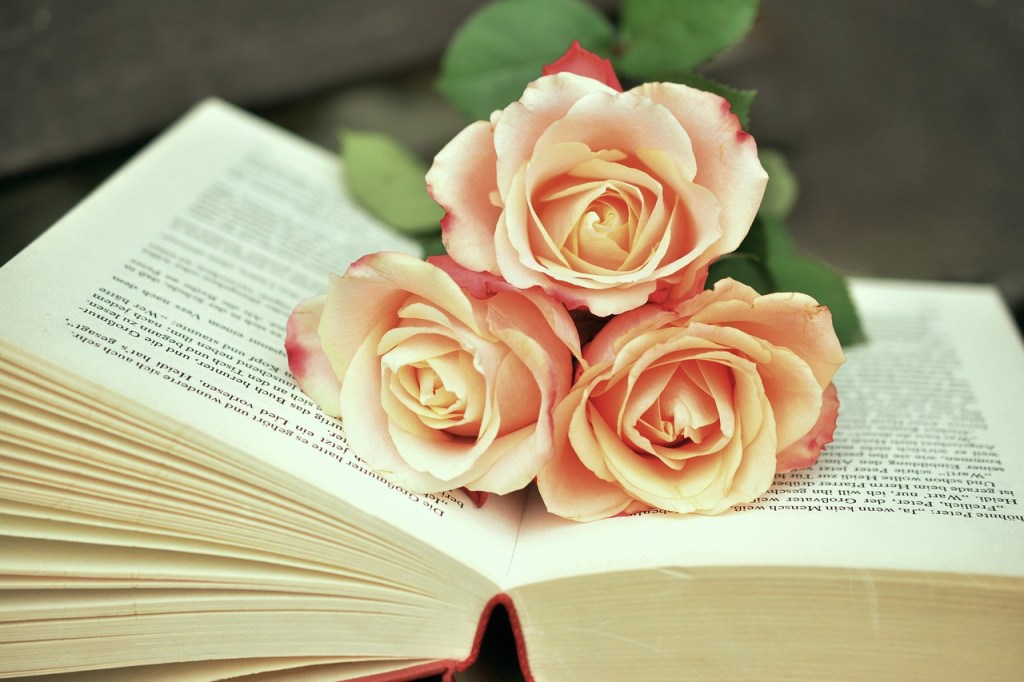 Open book with pages spread, ready for reading
