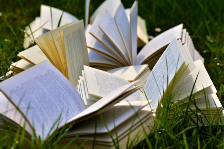 Coming Back From a Career Setback: Business Launch Tips for Fiction Writers