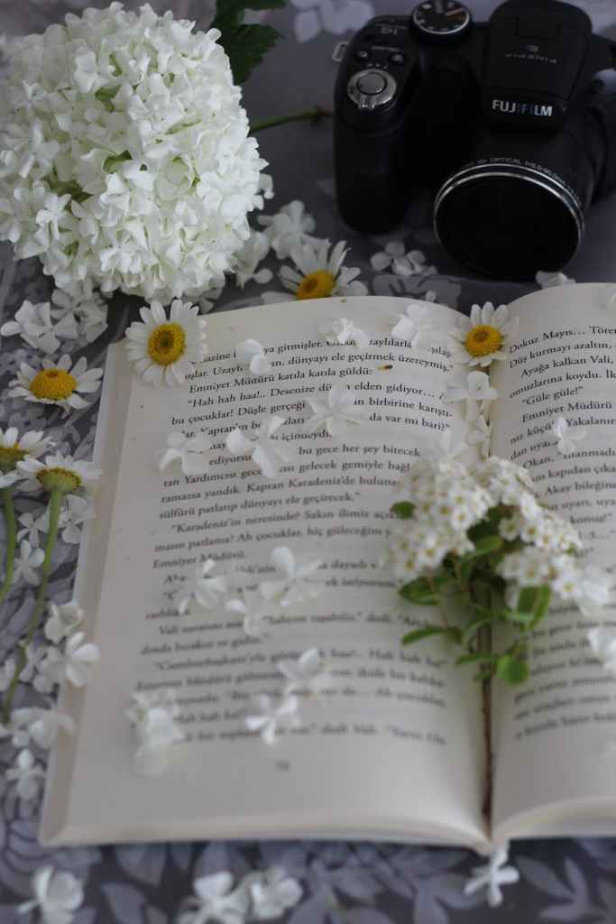 flowers and petals on an opened book; types of book editors win's books