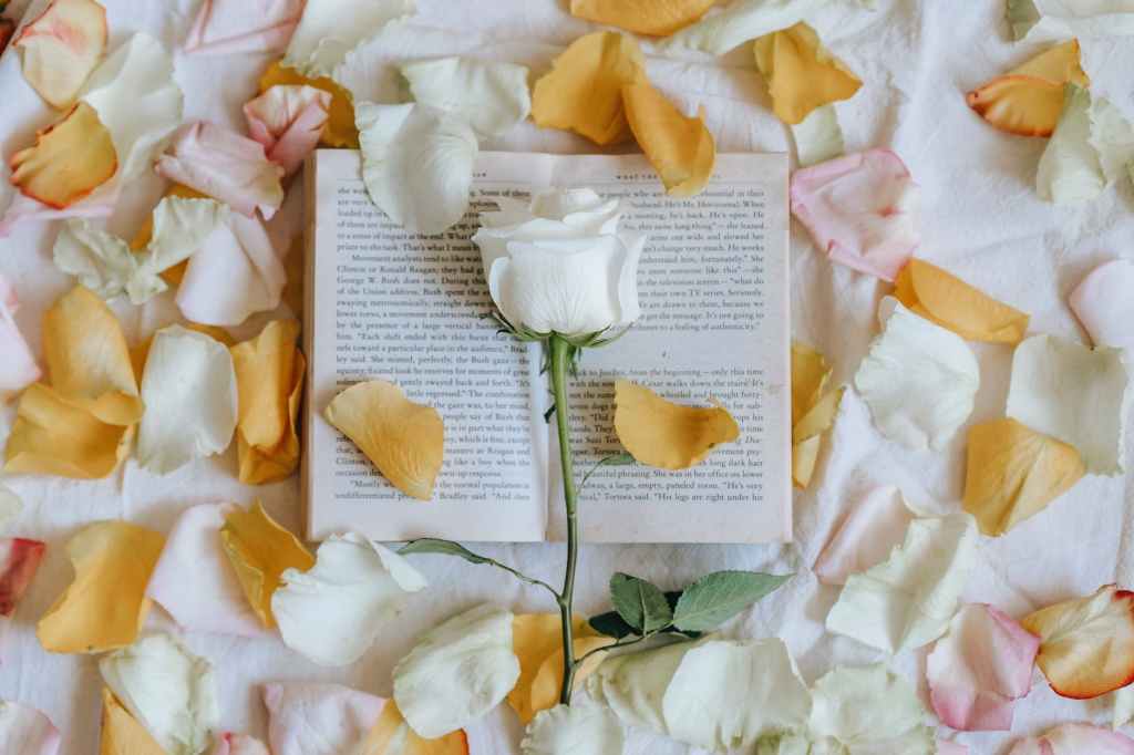 rose on book near scattered petals
