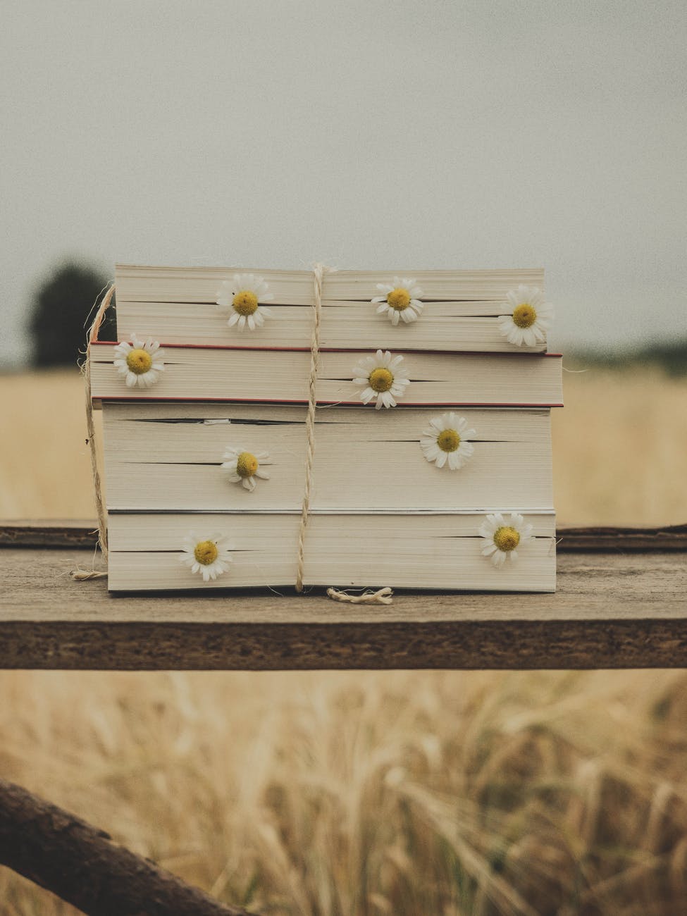 About the Author: