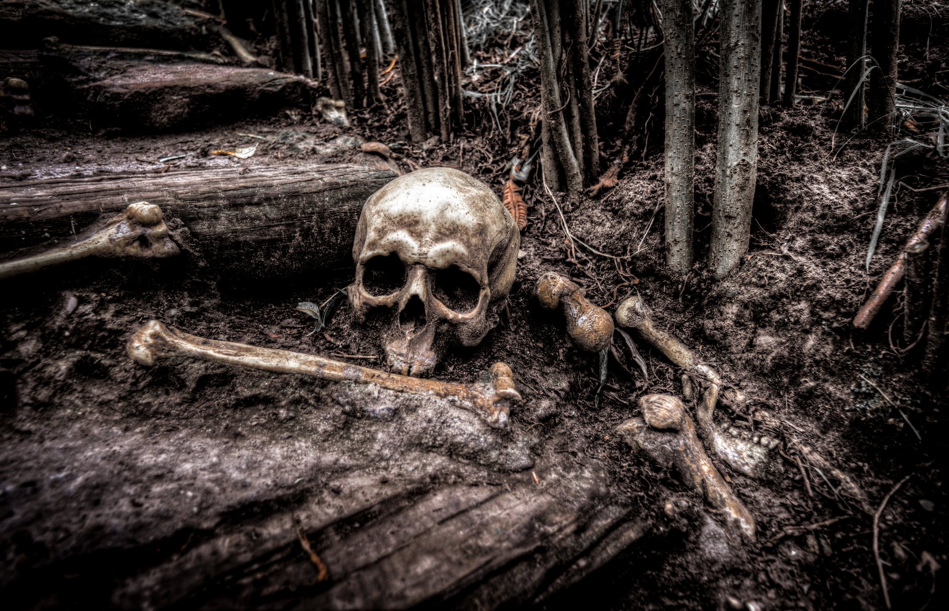 creepy dark fear grave