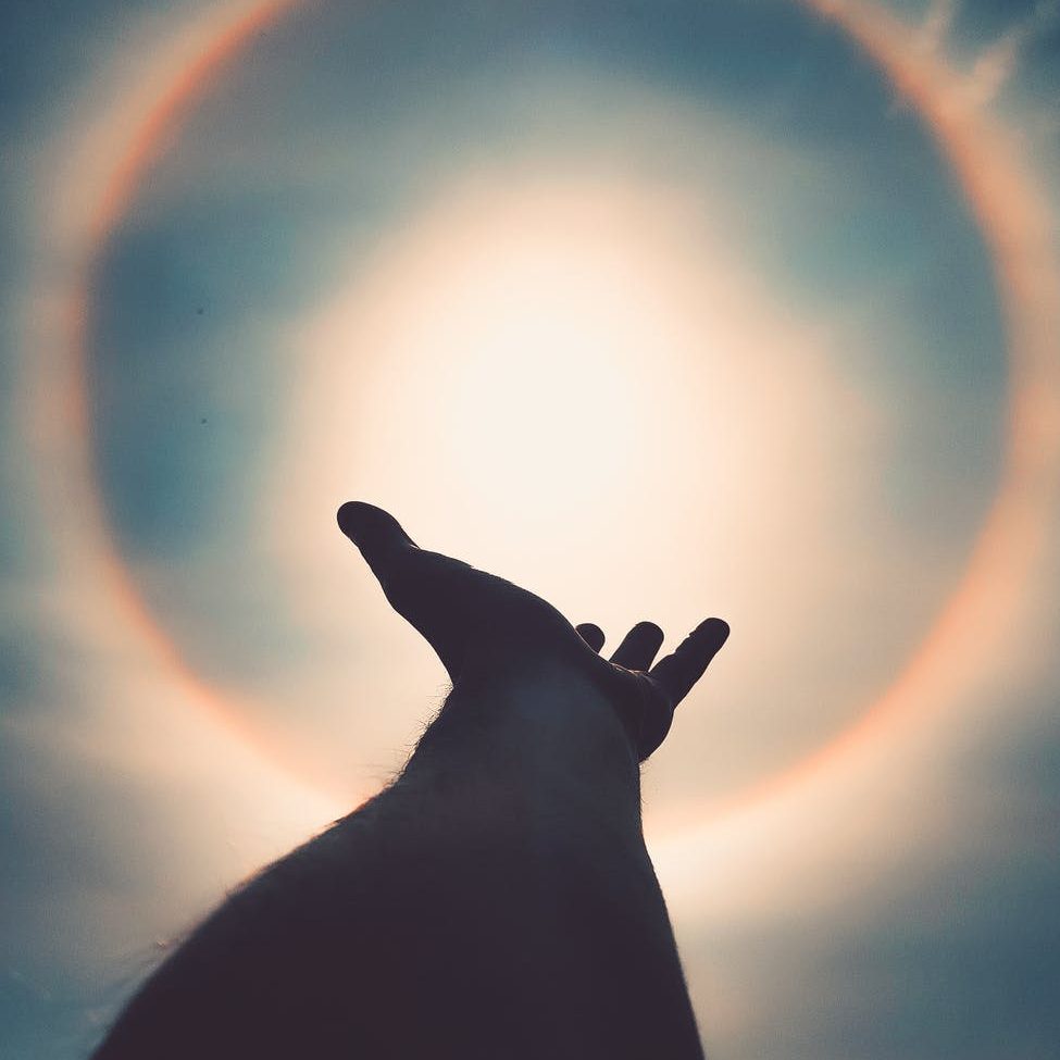 left human hand photo; transformational non-fiction with author Sandra Hinojosa Ludwig
