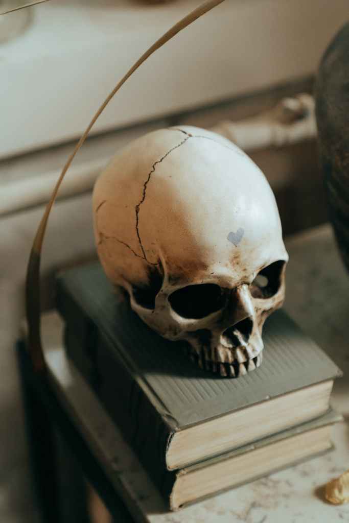 white skull on white wooden table; spooky author